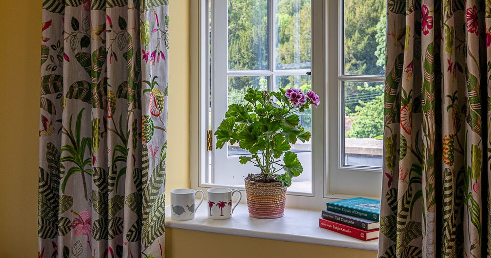 Window with floral curtains, potted plant, two mugs, and books on sill overlooking green landscape