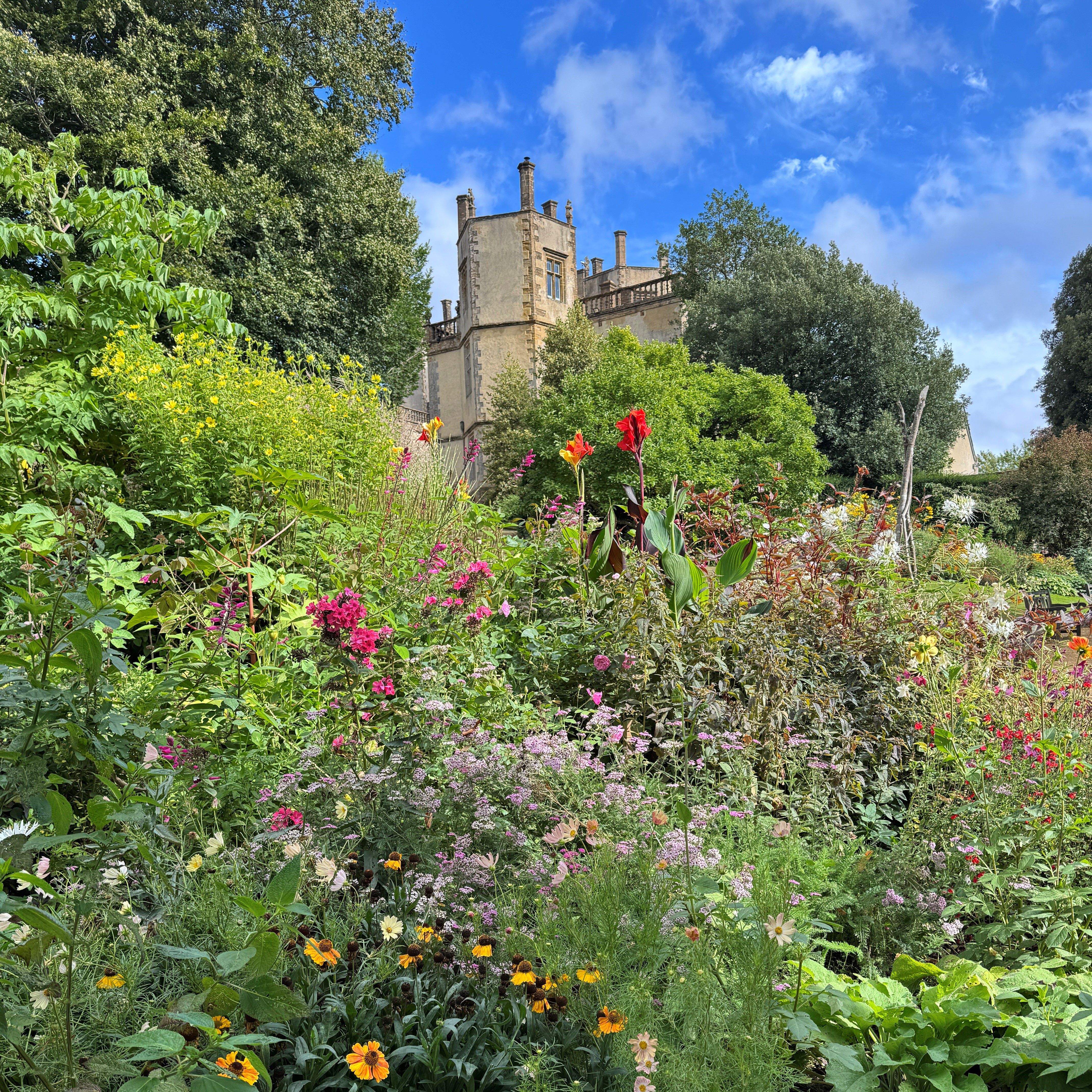 Sherborne Castle with a colorful garden in the foreground