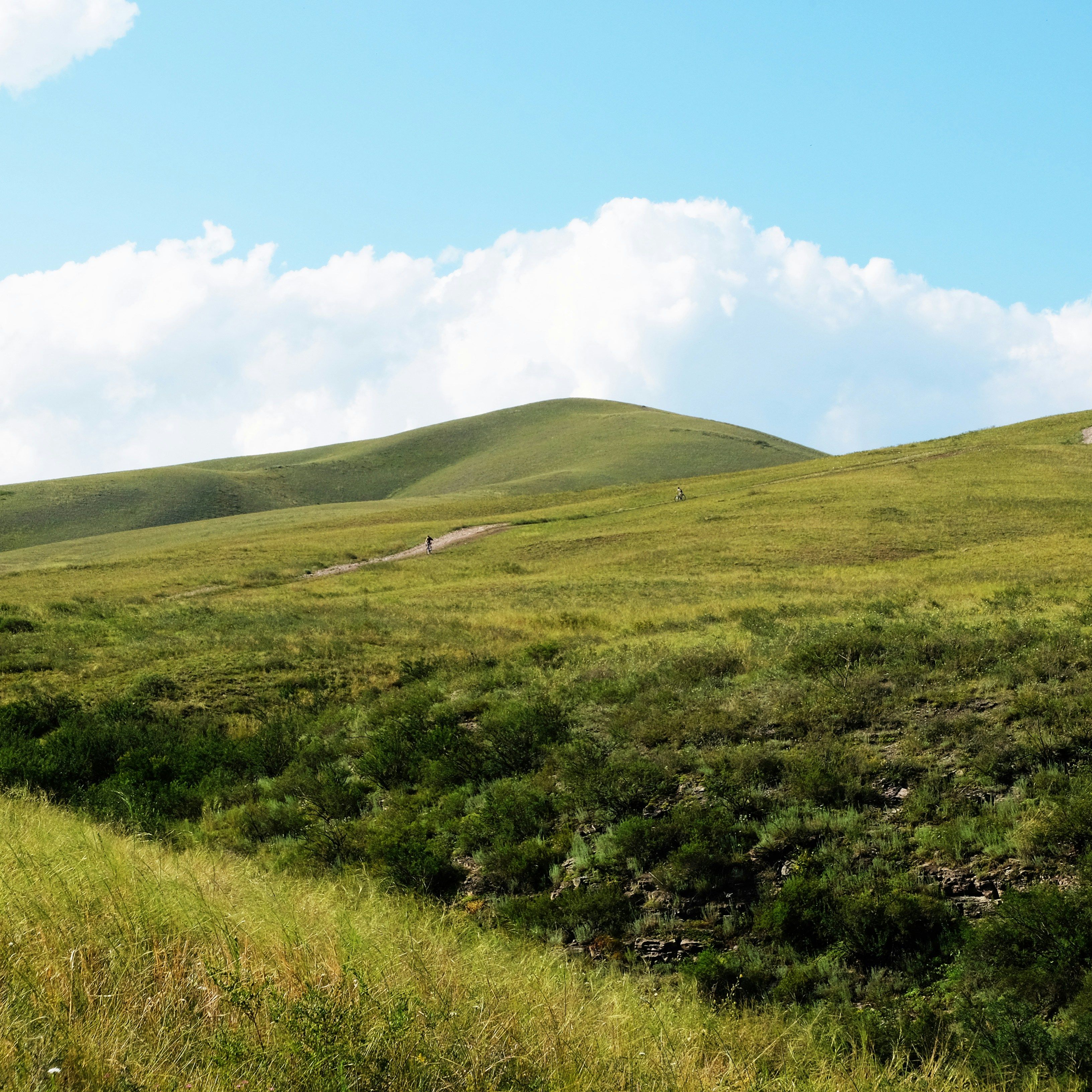 Sunny grassy hills with a clear blue sky and white clouds above