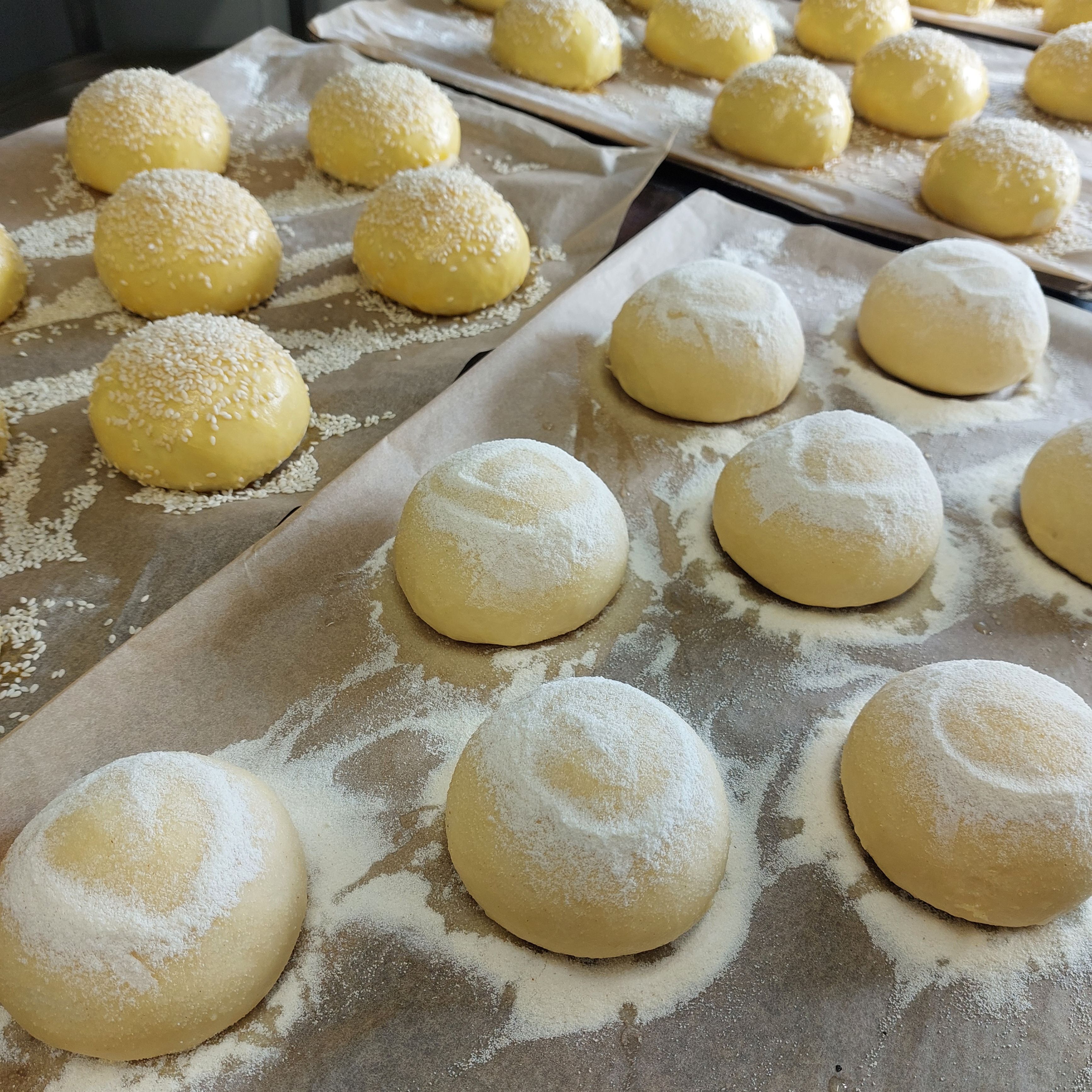 Unbaked bread rolls on baking trays dusted with flour and sesame seeds