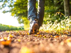 A close-up of a person’s shoes walking along a sunlit dirt path, surrounded by fallen leaves and greenery. The scene is set outdoors with a blurred, tree-filled background.