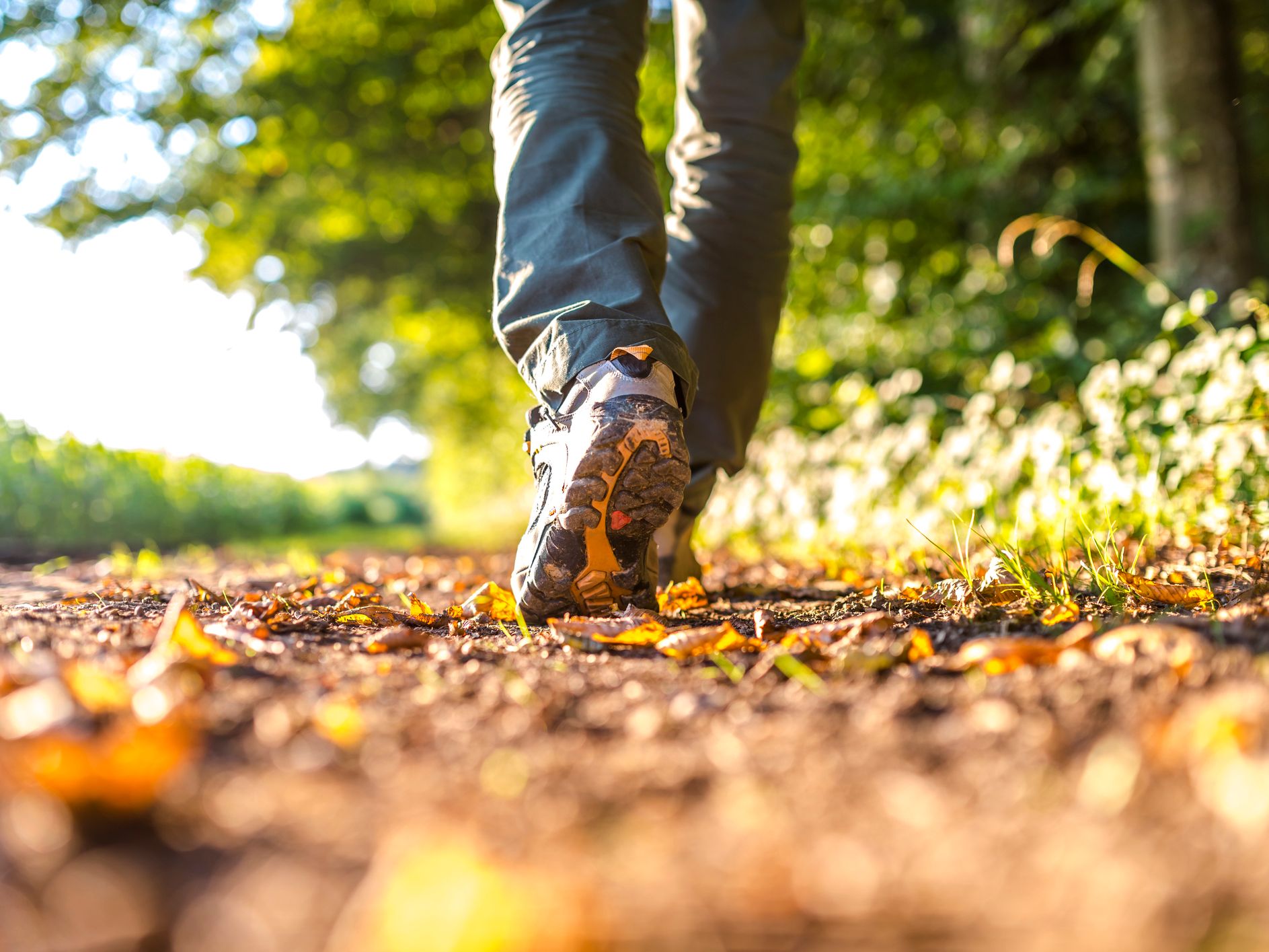A close-up of a person’s shoes walking along a sunlit dirt path, surrounded by fallen leaves and greenery. The scene is set outdoors with a blurred, tree-filled background.
