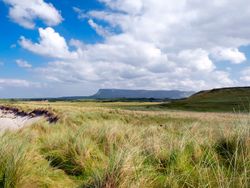 A scenic landscape with tall grassy dunes in the foreground, a sandy beach to the left, and distant mountains under a bright blue sky with scattered clouds.