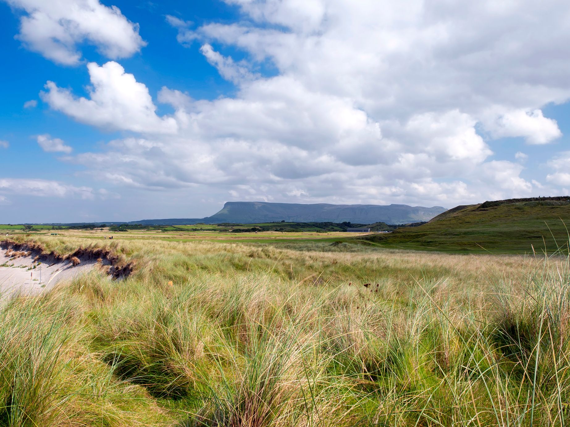 A scenic landscape with tall grassy dunes in the foreground, a sandy beach to the left, and distant mountains under a bright blue sky with scattered clouds.