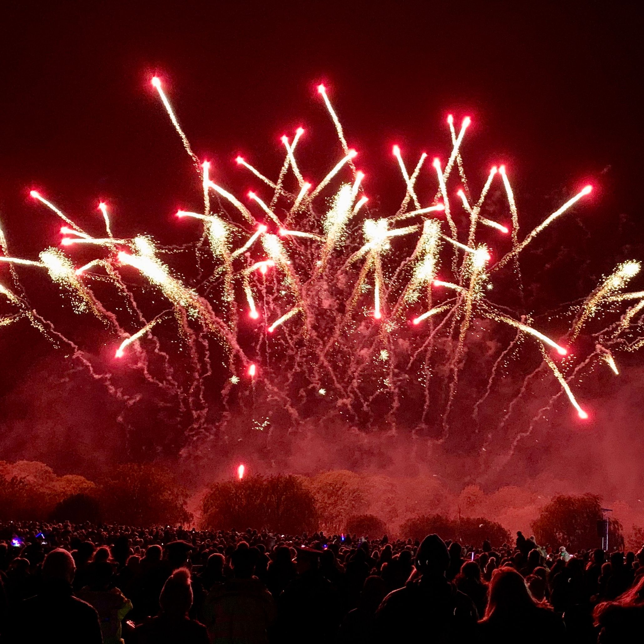 A crowd of people watching a firework display as it illuminates the night sky in red and gold.