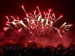 A crowd of people watching a firework display as it illuminates the night sky in red and gold.