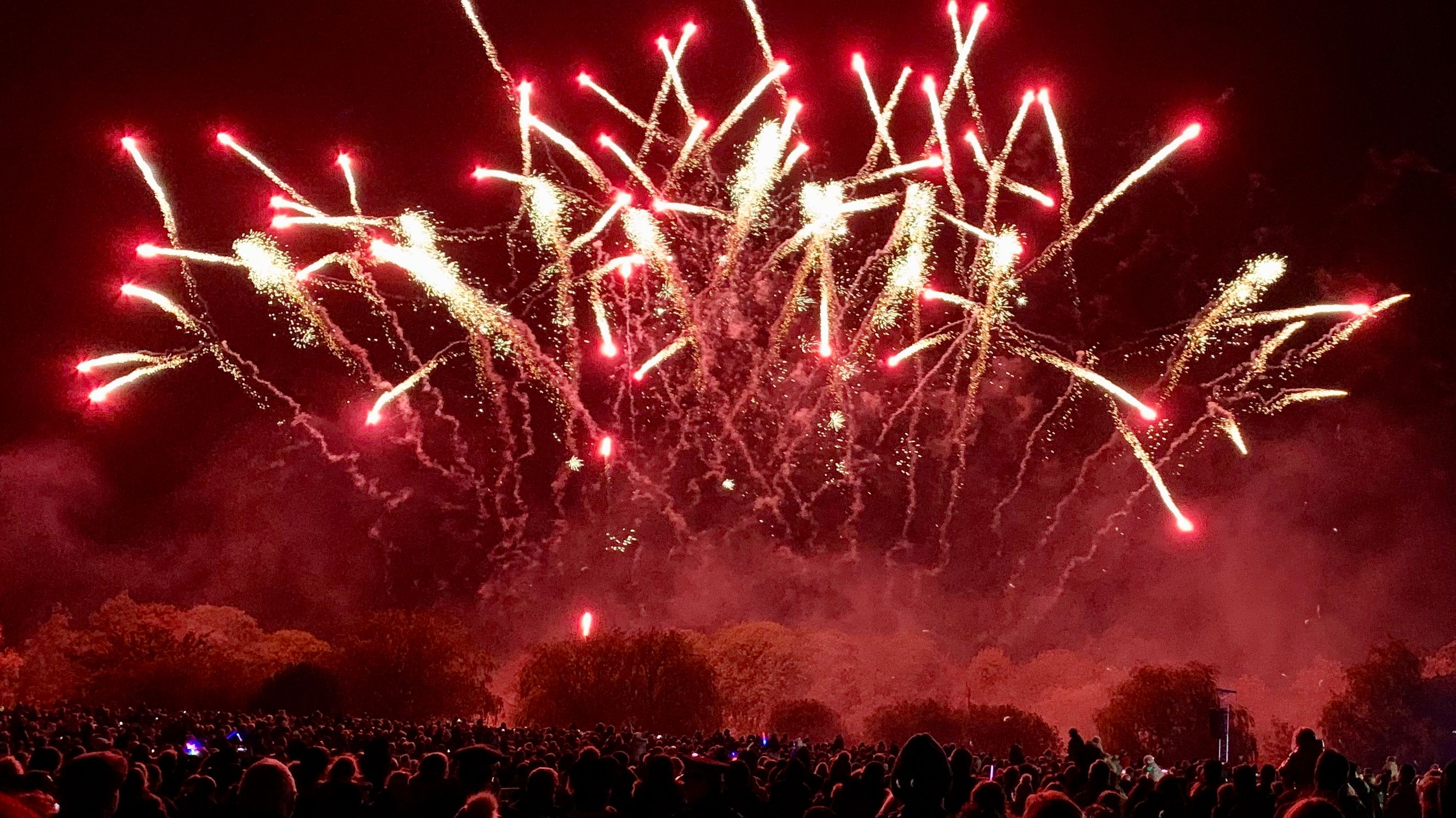 A crowd of people watching a firework display as it illuminates the night sky in red and gold.