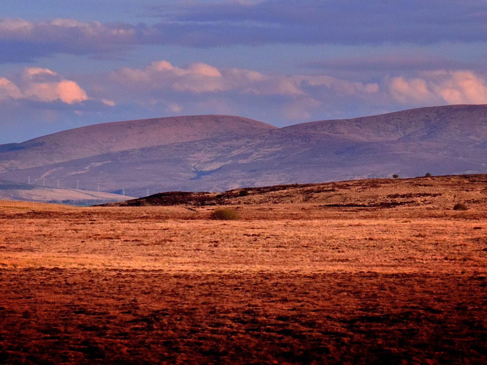 GettyImages-1293172656