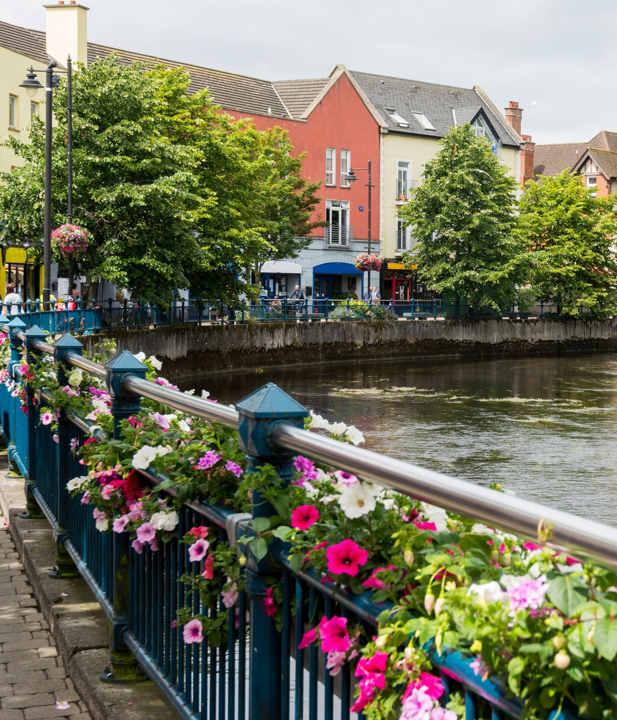 A peaceful view of the vibrant and colourful city center, highlighting the best of Sligo attractions.