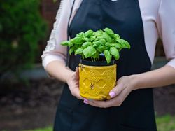 A person wearing a black apron holds a vibrant green basil plant in a decorative yellow pot with a honeycomb pattern, standing outdoors with a blurred garden background.
