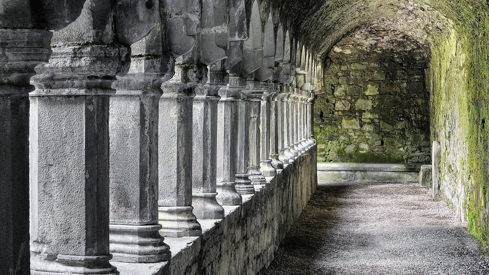 sligo abbey