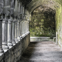 sligo abbey