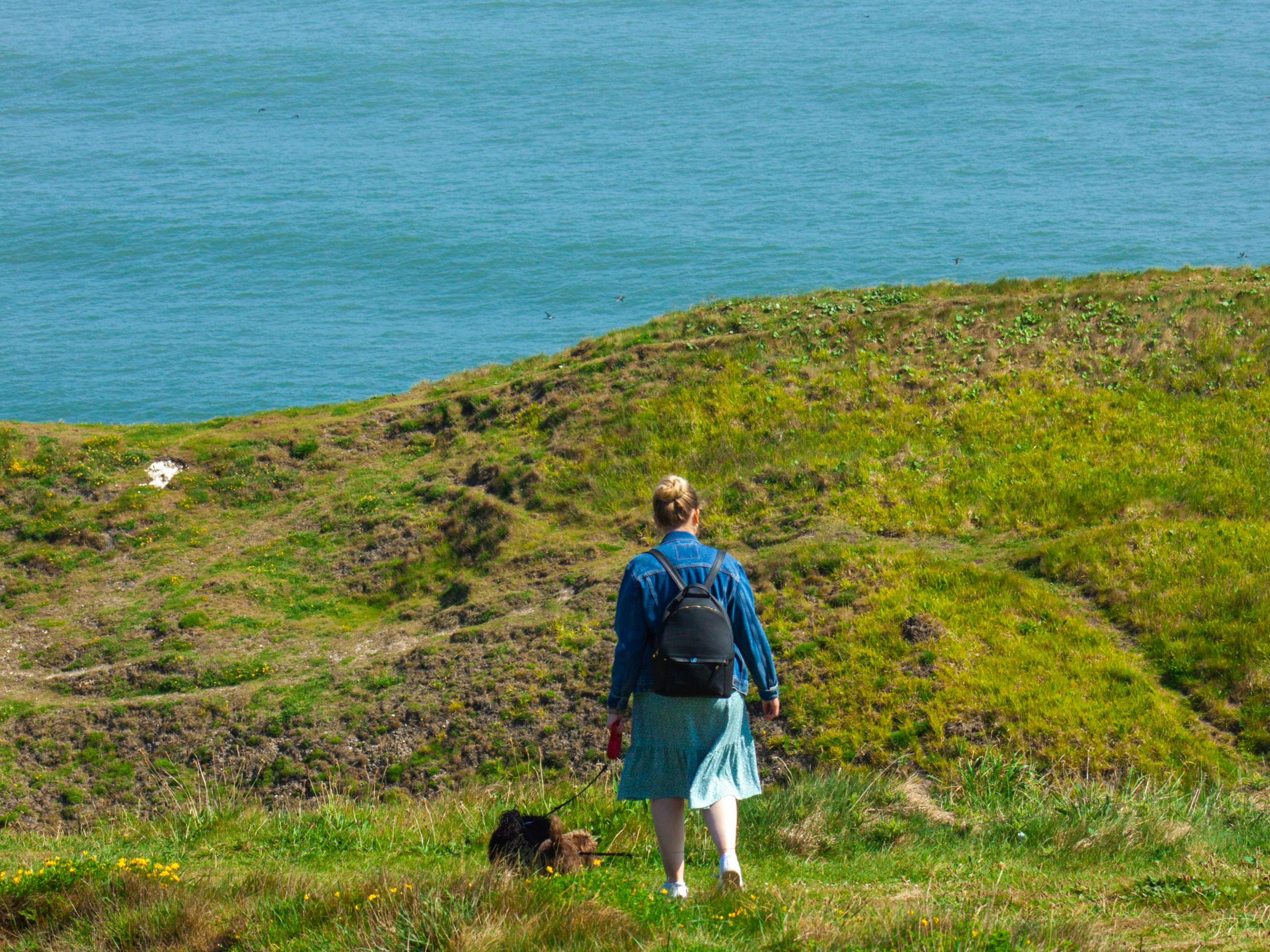 Cliff Top Walk