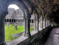 A cloister passage with stone columns and arches overlooking a graveyard in a grassy courtyard. The aged stonework shows signs of erosion and moss, adding to the historical feel.