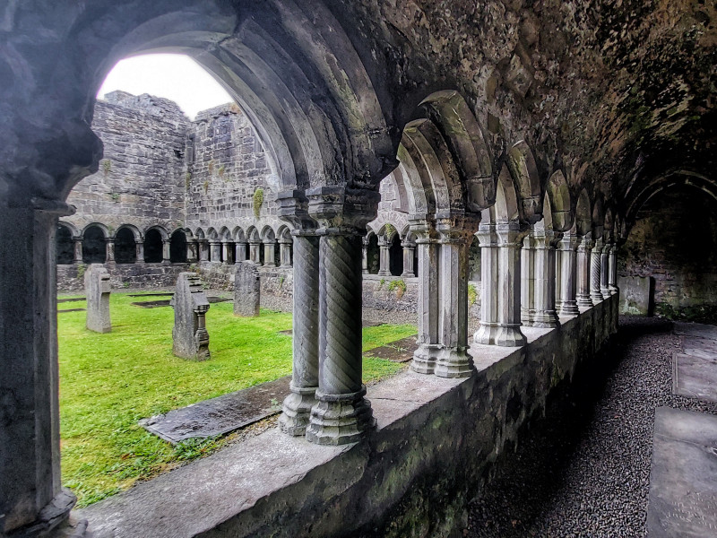 A cloister passage with stone columns and arches overlooking a graveyard in a grassy courtyard. The aged stonework shows signs of erosion and moss, adding to the historical feel.
