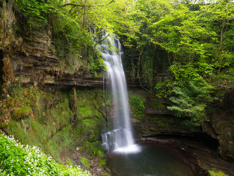 A scenic waterfall in a dense forest, with water cascading over mossy rocks into a pool. The area is surrounded by vibrant green plants and trees, creating a tranquil atmosphere.