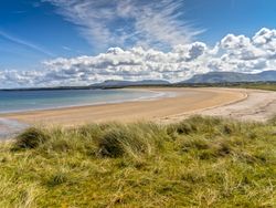 A picturesque beach with golden sands and calm, clear waters. Grassy dunes in the foreground lead to a wide, sweeping bay under a sky filled with fluffy white clouds.