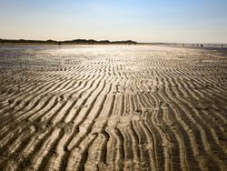 Close-up of wavy sand patterns at low tide, highlighted by golden sunlight. The horizon shows a few people and sand dunes under a clear blue sky, evoking a tranquil beach atmosphere.