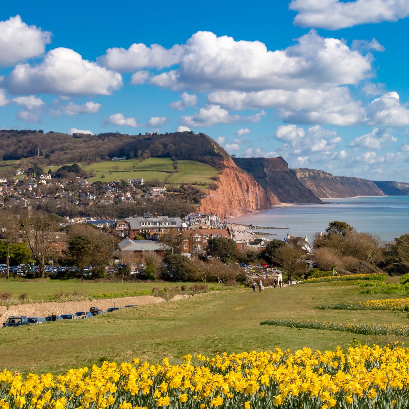 Sidmouth Sea Views - Royal York & Faulkener