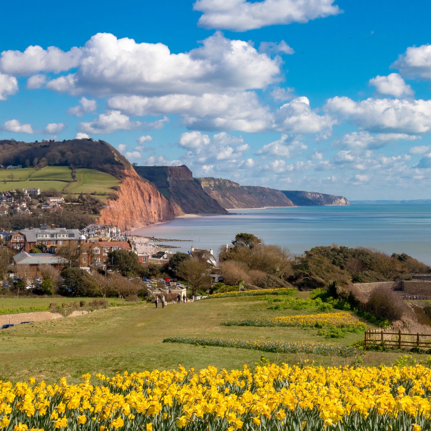 Sidmouth Sea Views - Royal York & Faulkener