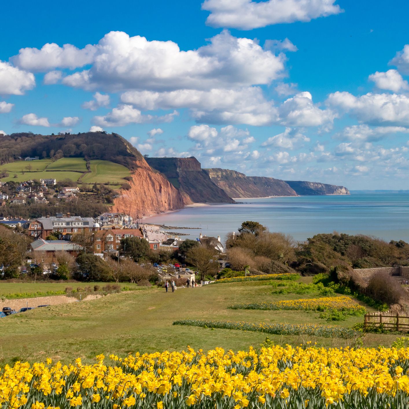 Sidmouth Sea Views - Royal York & Faulkener
