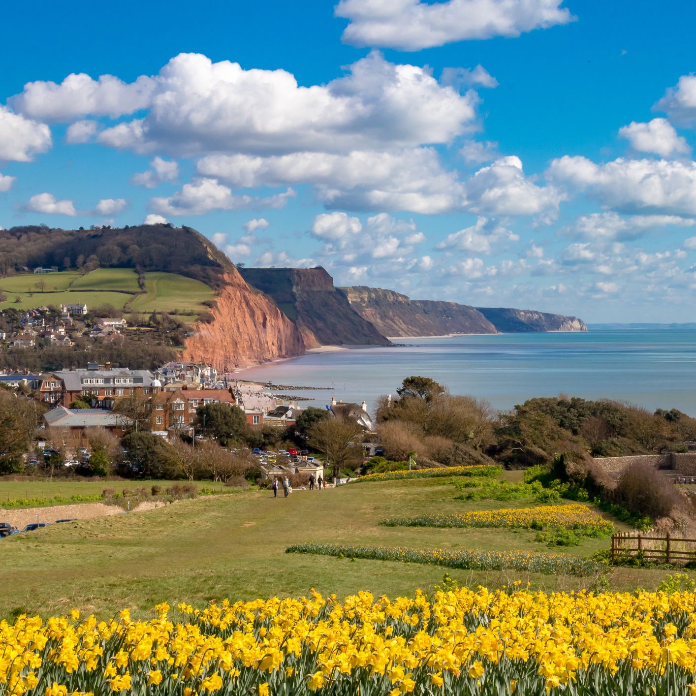 Sidmouth Sea Views - Royal York & Faulkener