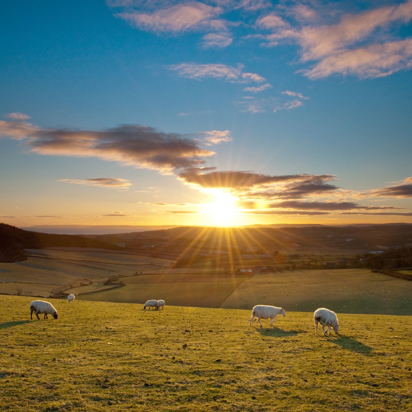 Sidmouth View over the valleys and sea