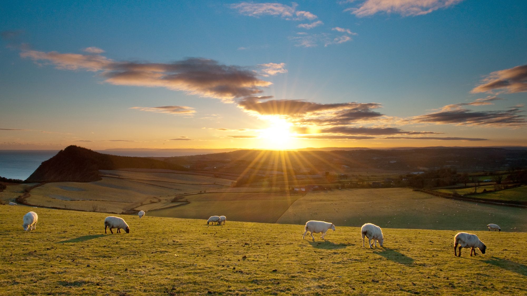 Sidmouth View over the valleys and sea