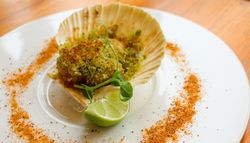Baked scallop in shell with green herb crust, lime wedge, and decorative spice on plate