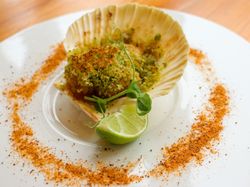 Baked scallop in shell with green herb crust, lime wedge, and decorative spice on plate