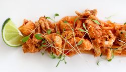 Fried calamari garnished with microgreens and served with a lime wedge