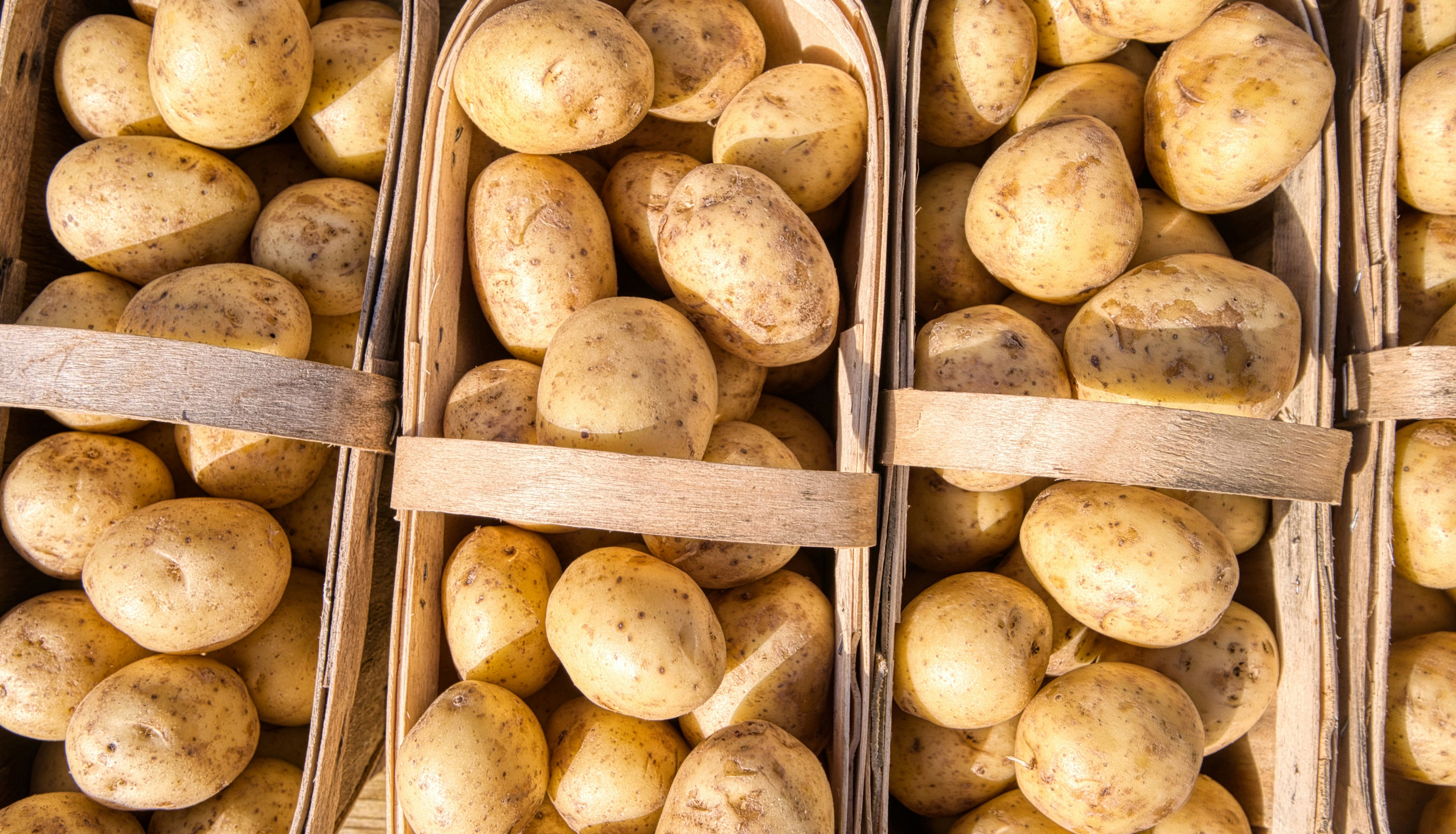 Baskets filled with fresh potatoes