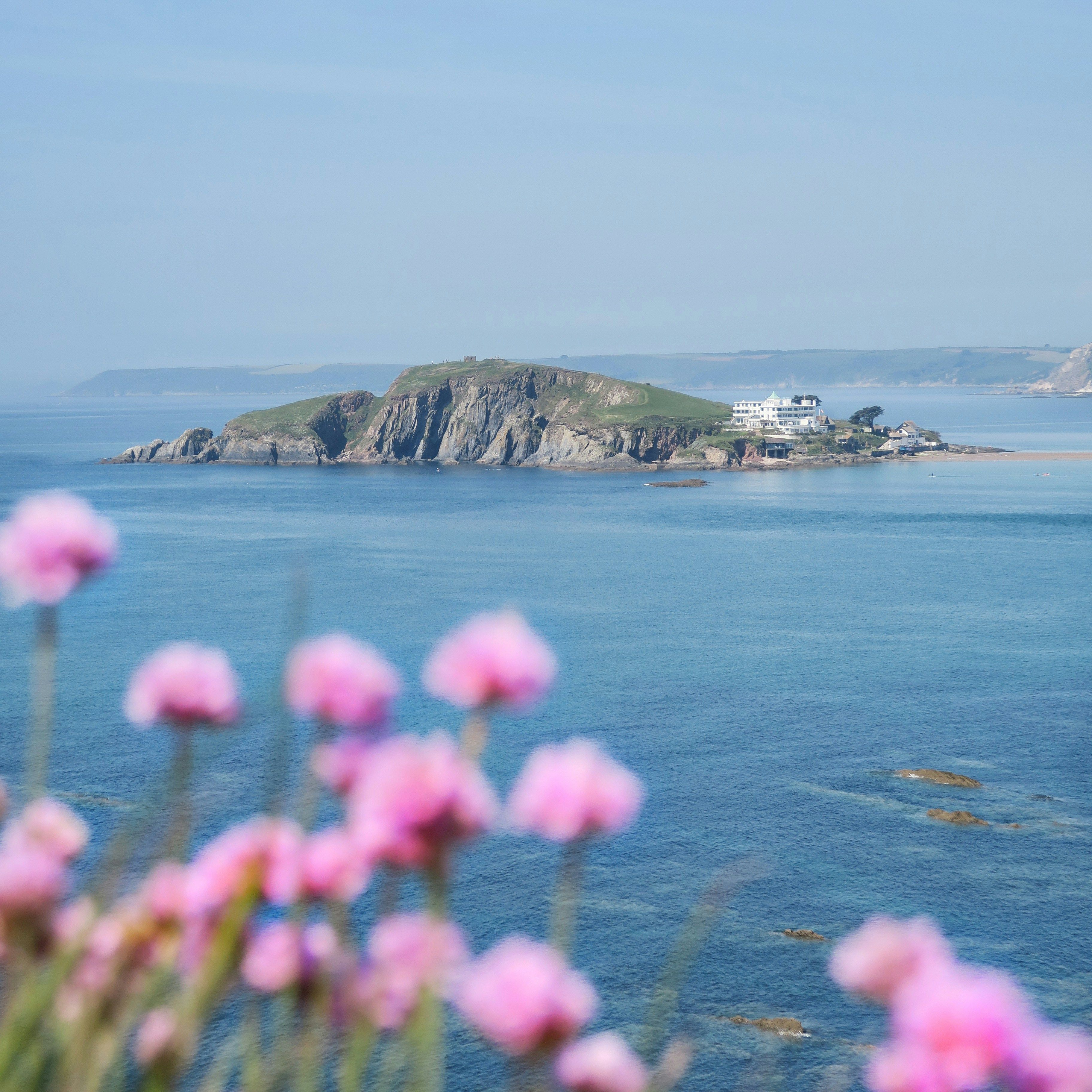 Coastal island with a building, seen across blue water with pink wildflowers in the foreground