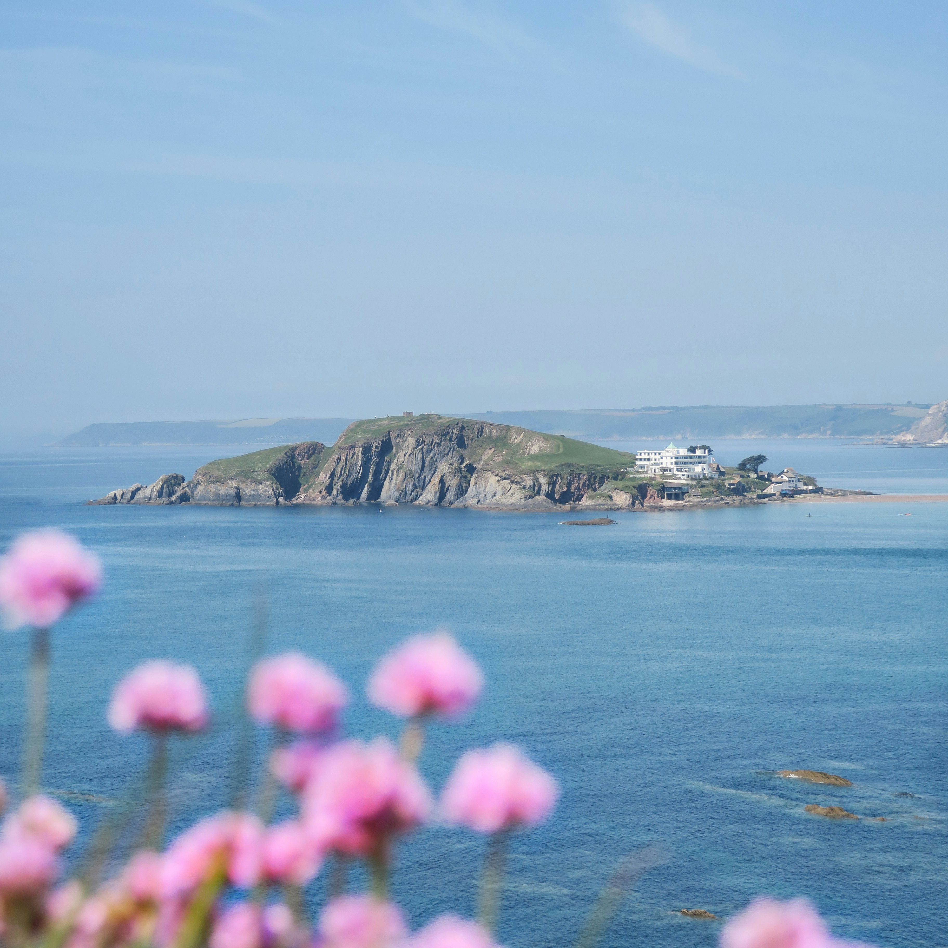 Coastal island with a building, seen across blue water with pink wildflowers in the foreground