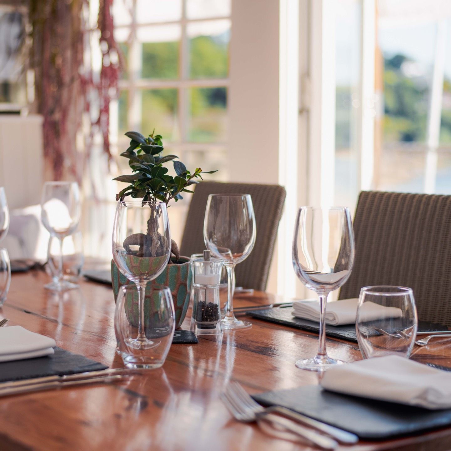 Elegant restaurant table setup with wine glasses, napkins, and a small potted plant centerpiece