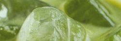 Close-up of iced matcha tea with large green ice cubes in a glass.