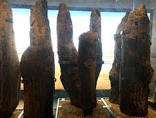 bronze age wood cirele