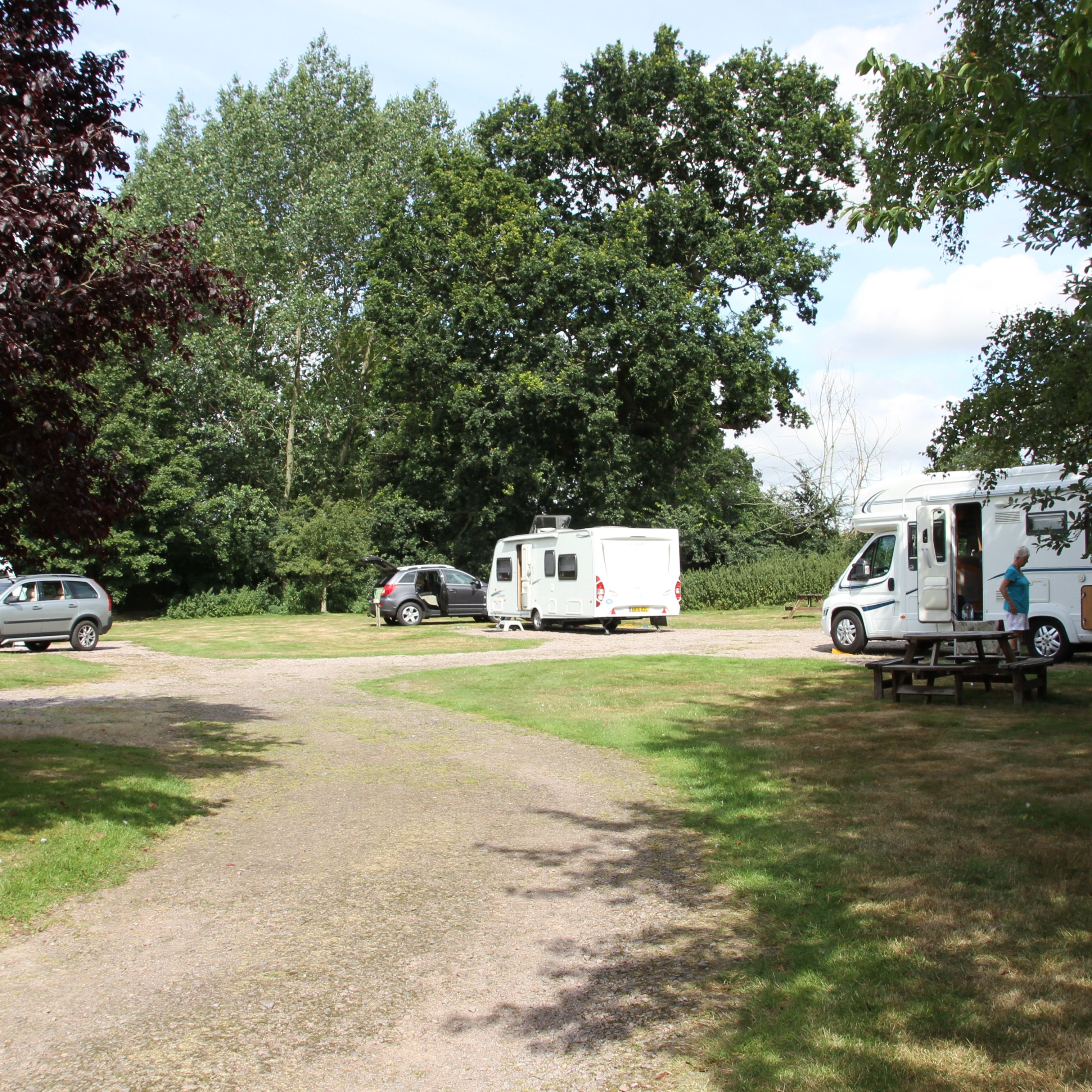 Three caravans and cars parked on a grassy campsite surrounded by trees.