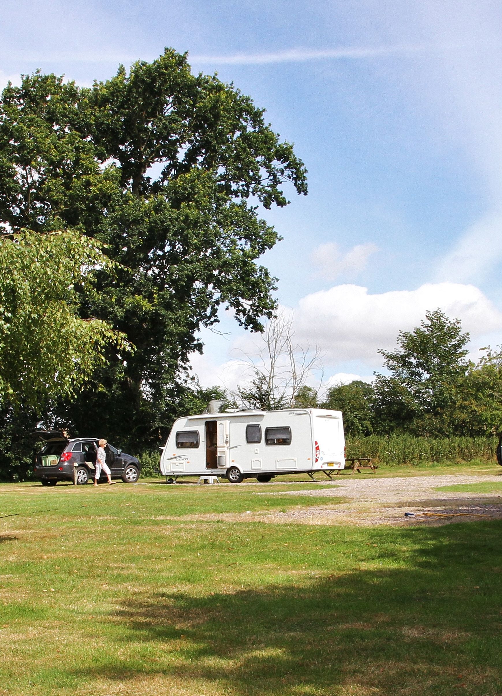 Parked caravans and cars in a grassy area surrounded by trees under a blue sky.