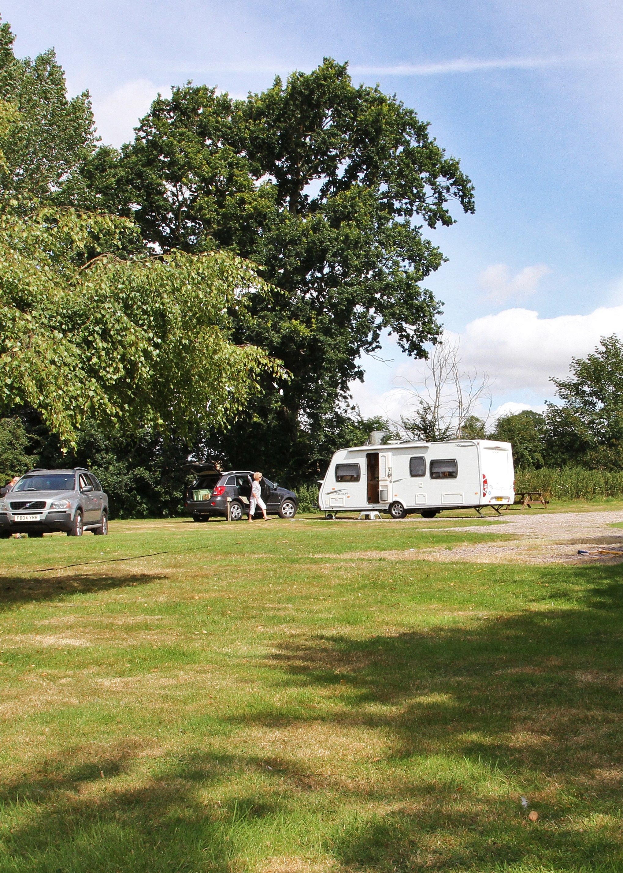 Parked caravans and cars in a grassy area surrounded by trees under a blue sky.