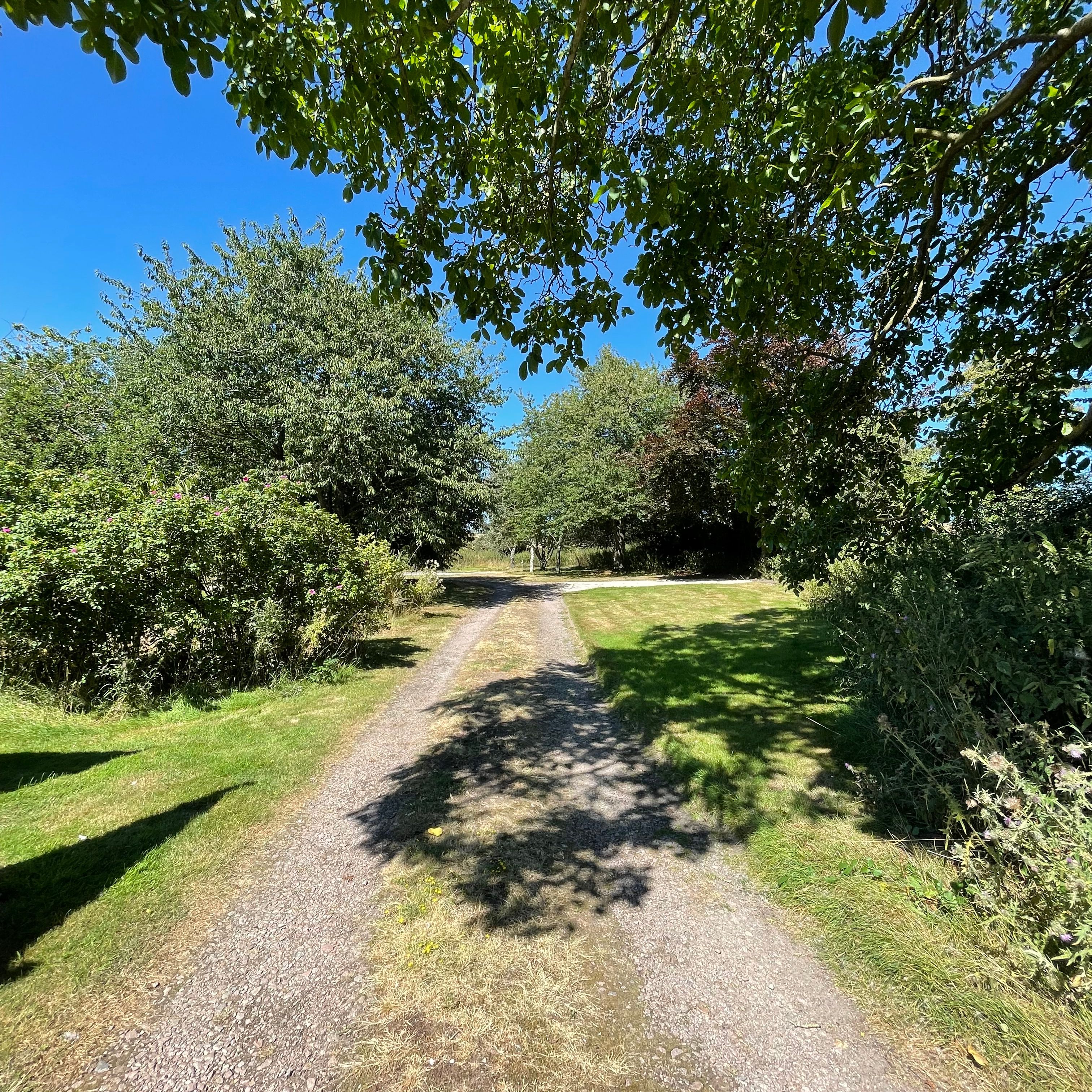 Gravel path leading through green trees and grass under a clear blue sky