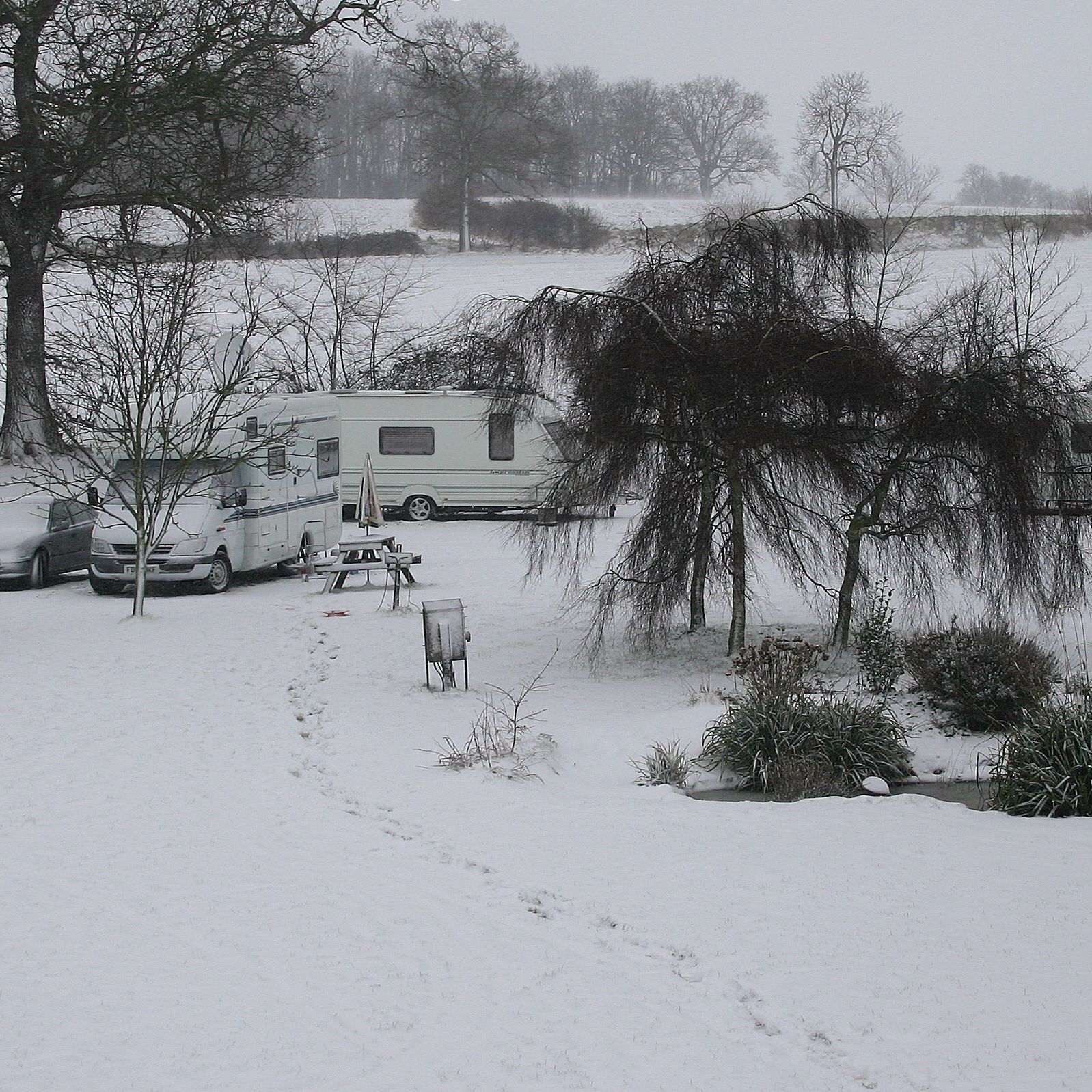 Caravans and motorhomes parked in a snowy campsite surrounded by trees and bushes