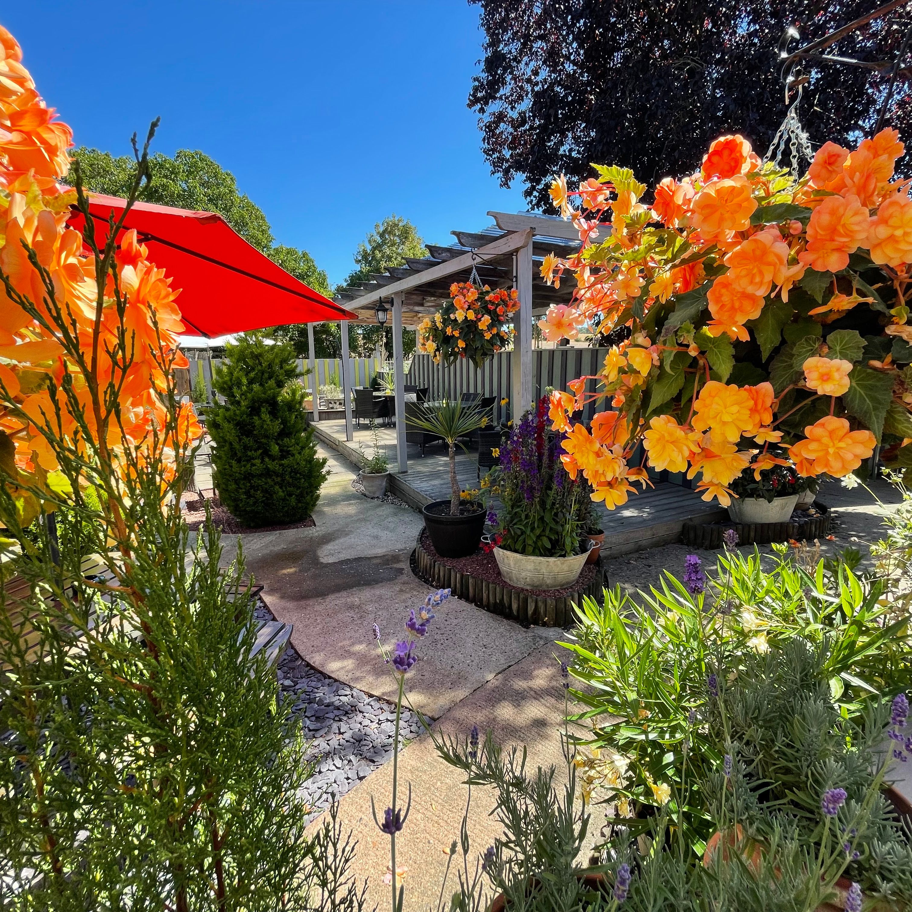 Colorful garden with orange flowers, potted plants, a red patio umbrella, and a wooden deck on a sunny day.