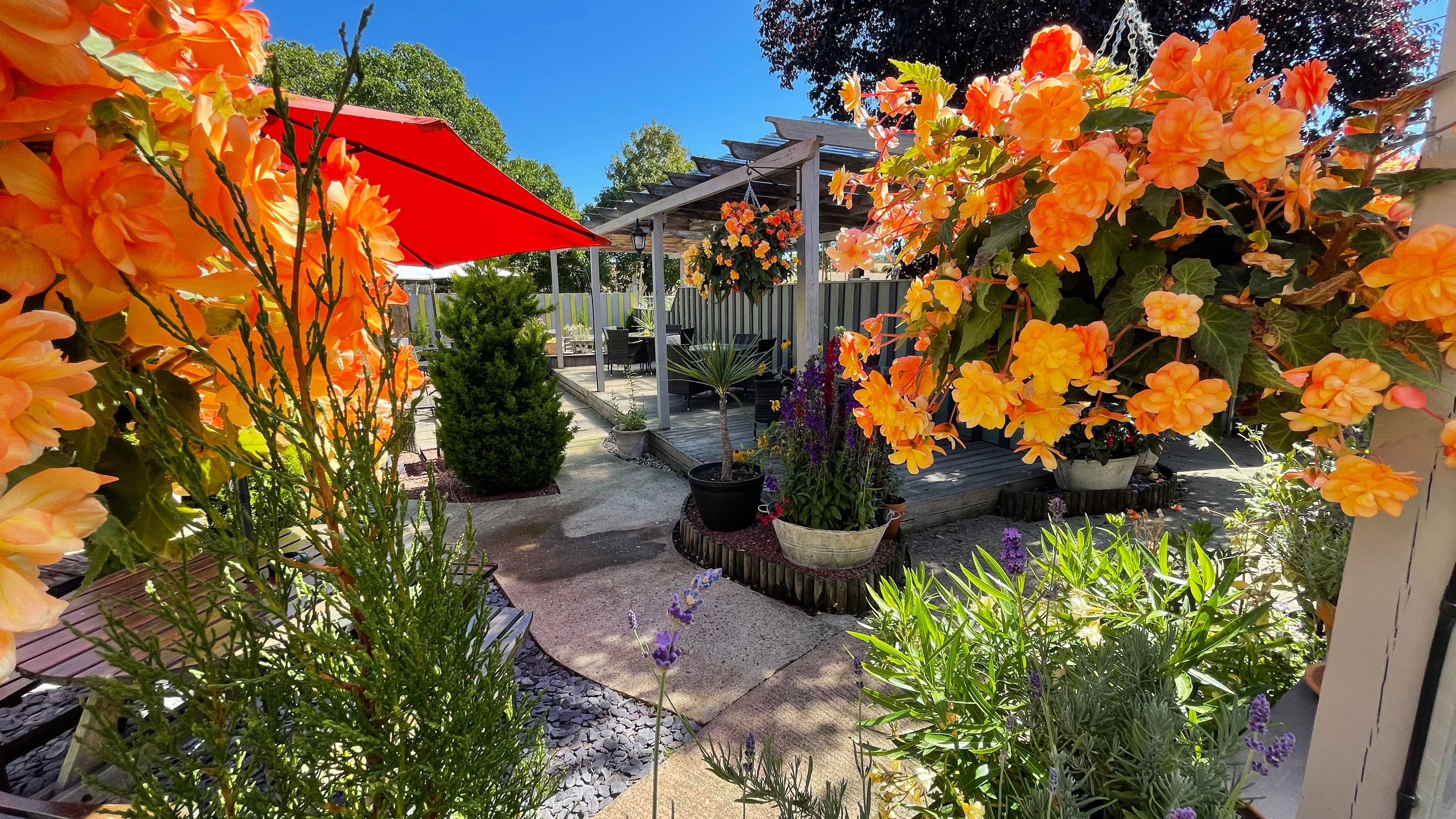 Colorful garden with orange flowers, potted plants, a red patio umbrella, and a wooden deck on a sunny day.
