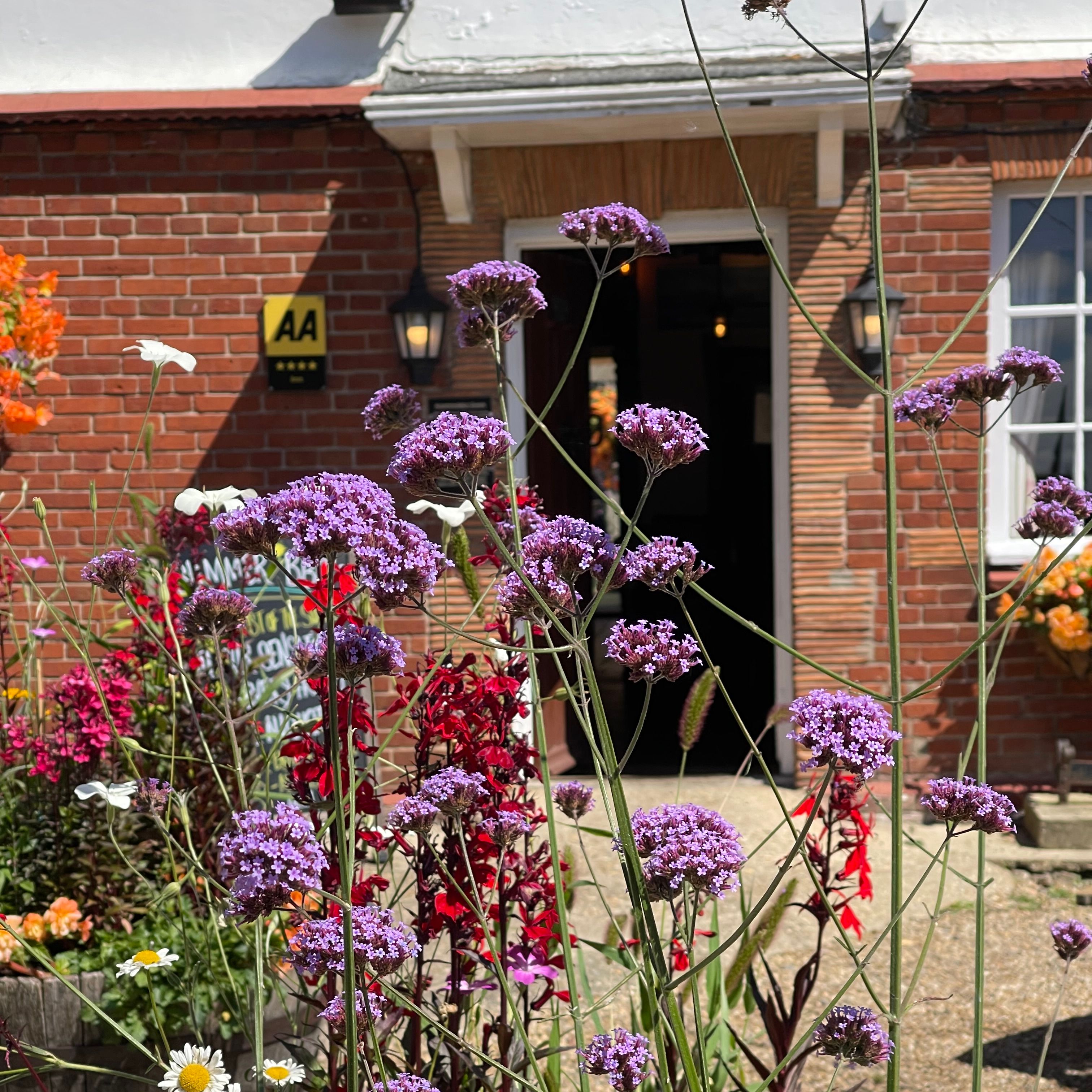 Outdoor garden with purple, white, red, and orange flowers in front of a brick building with an open door and AA plaque.
