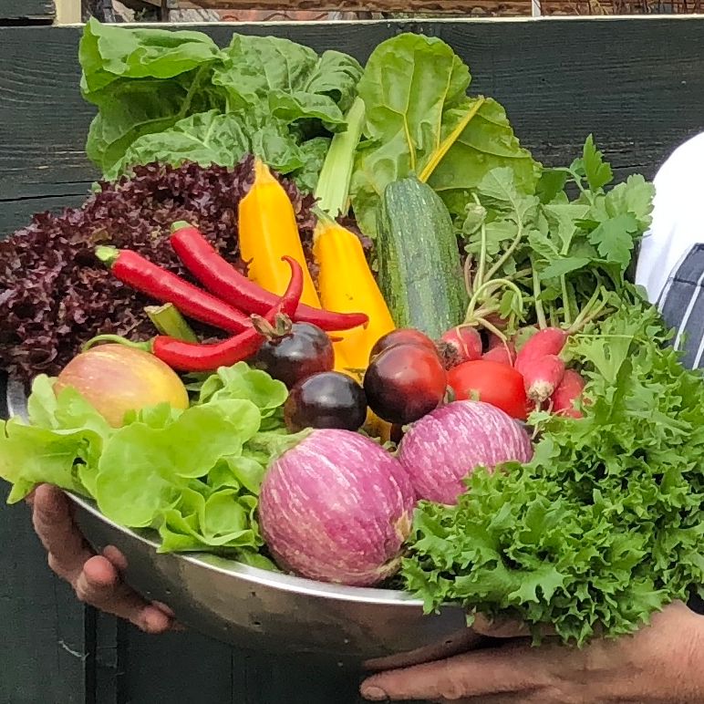 A person holding a large bowl of assorted fresh vegetables and fruits.