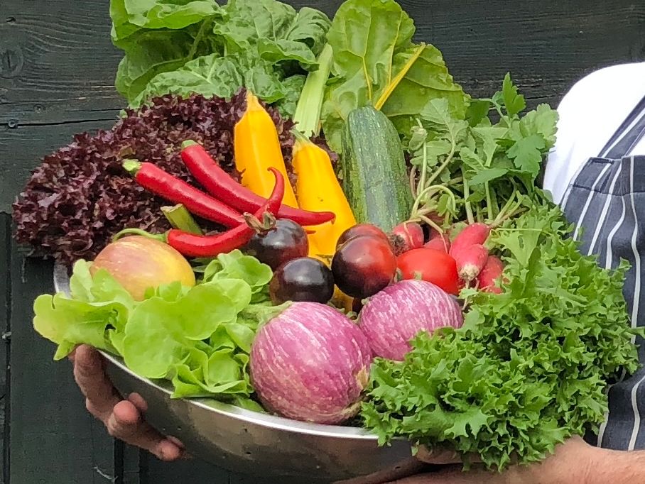 A person holding a large bowl of assorted fresh vegetables and fruits.