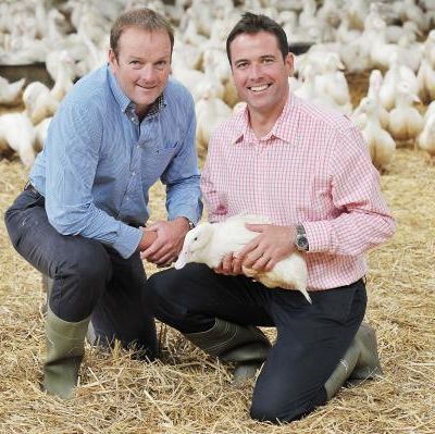 Two men with rubber boots kneeling on straw in front of a flock of white ducks, one man holding a duck.
