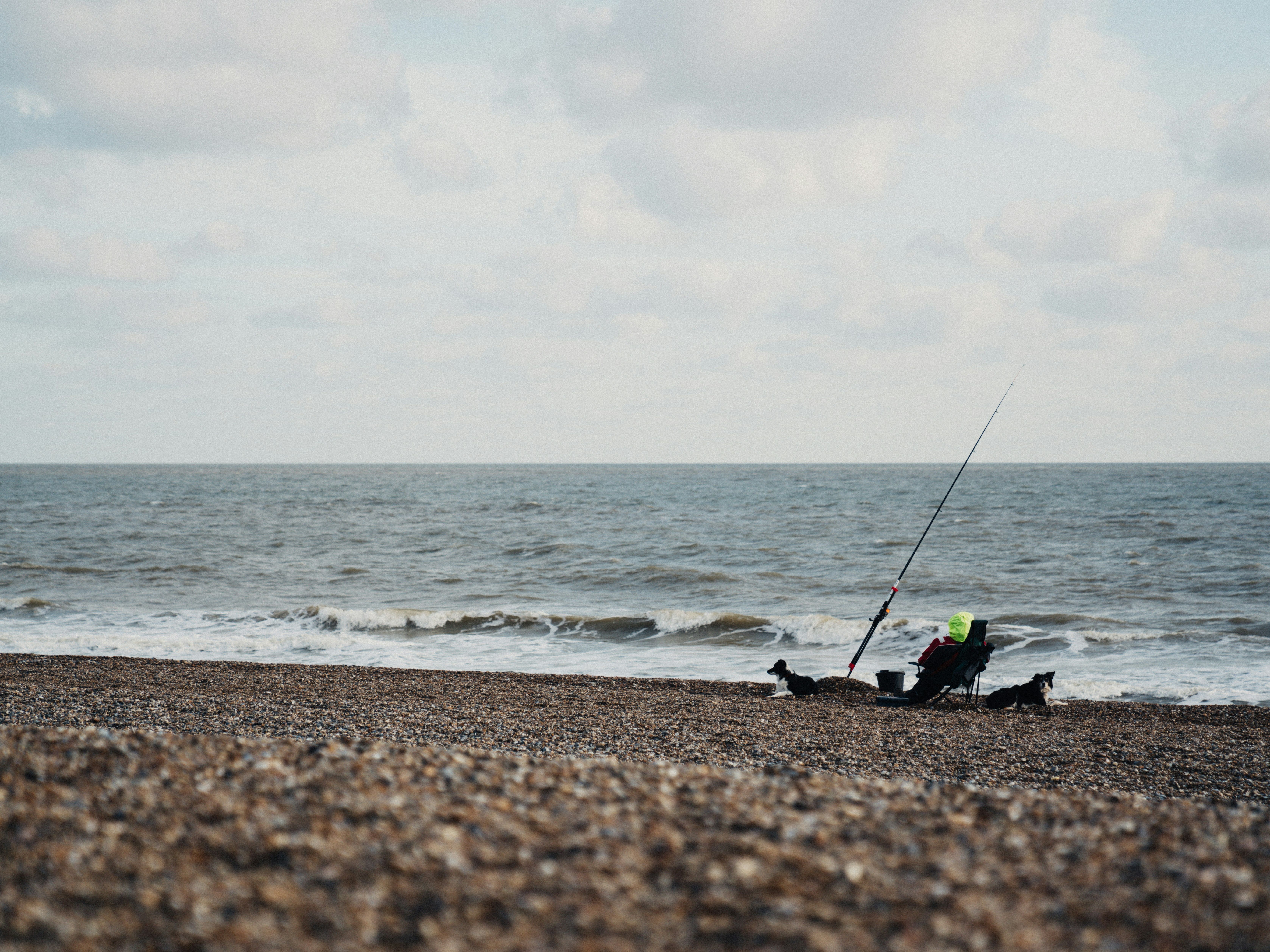 Person fishing on a pebbled beach with two dogs and a fishing rod by the sea