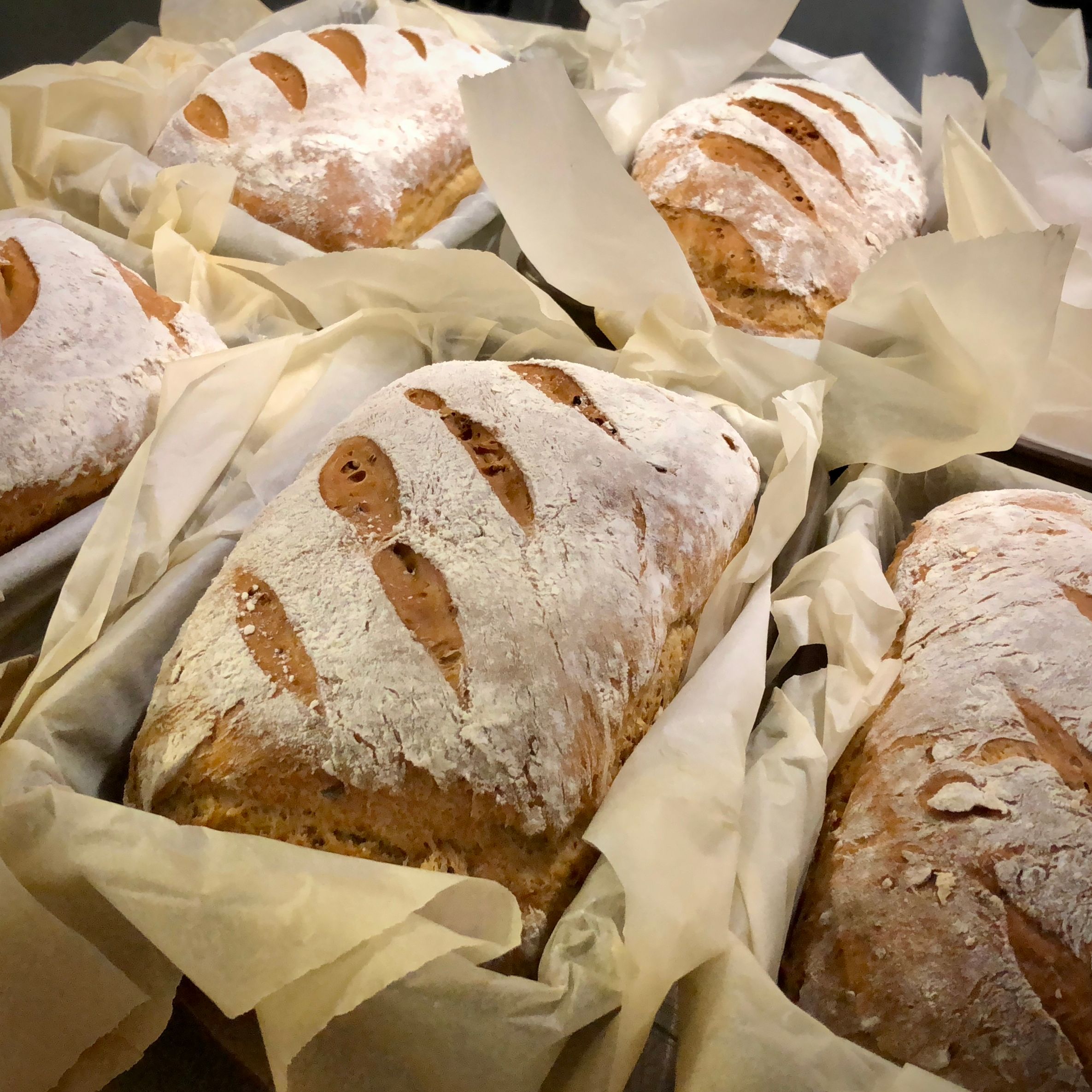 Loaves of freshly baked bread in parchment paper